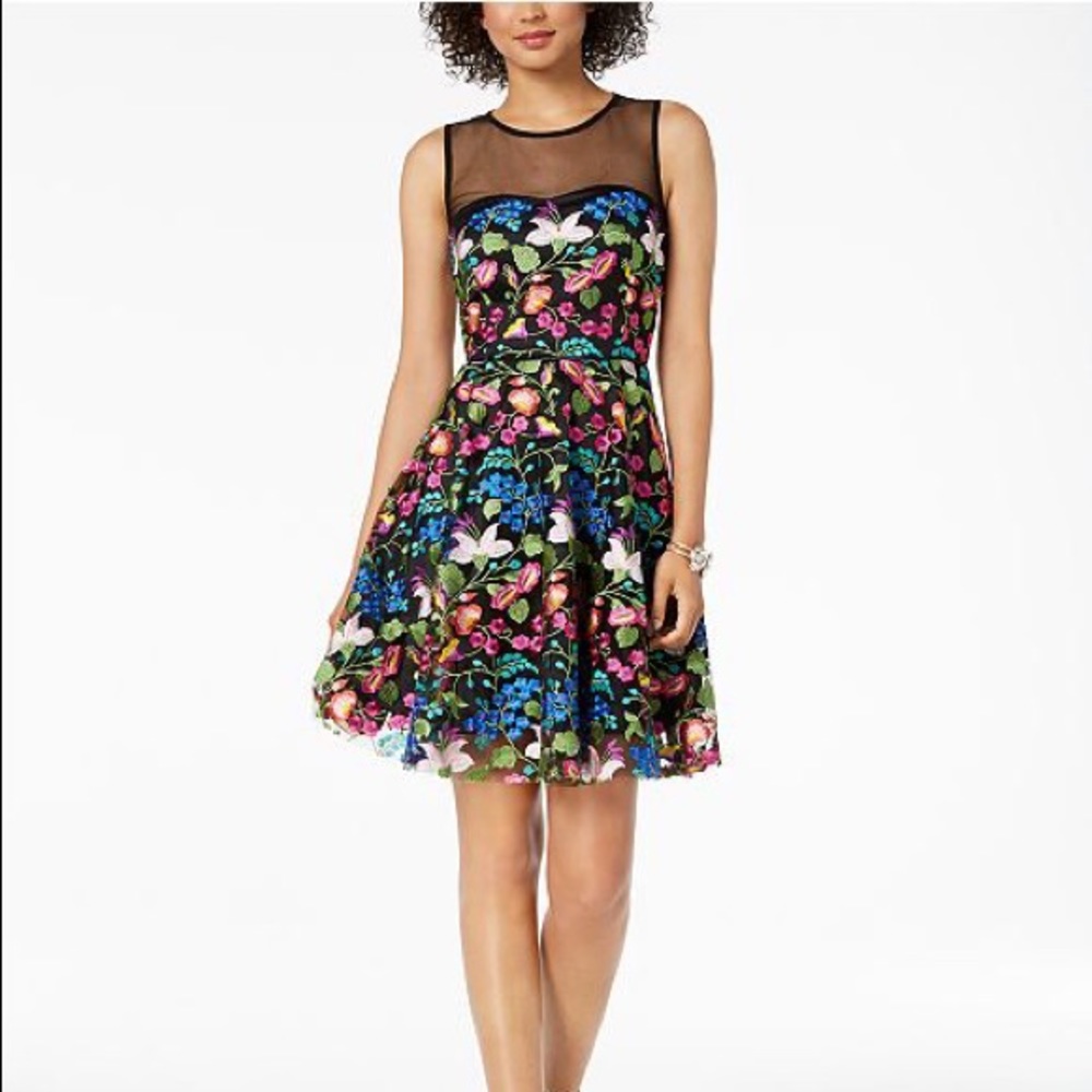 Tahari ASL Plus Size Embroidered Illusion Dress